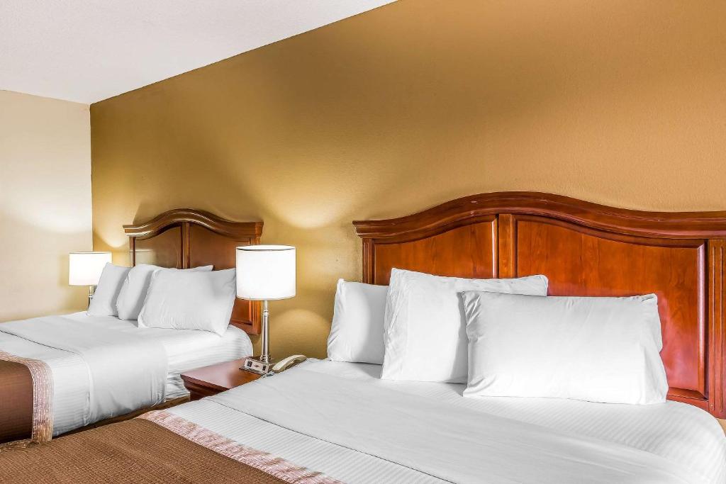Rodeway Inn Knoxville photo 3