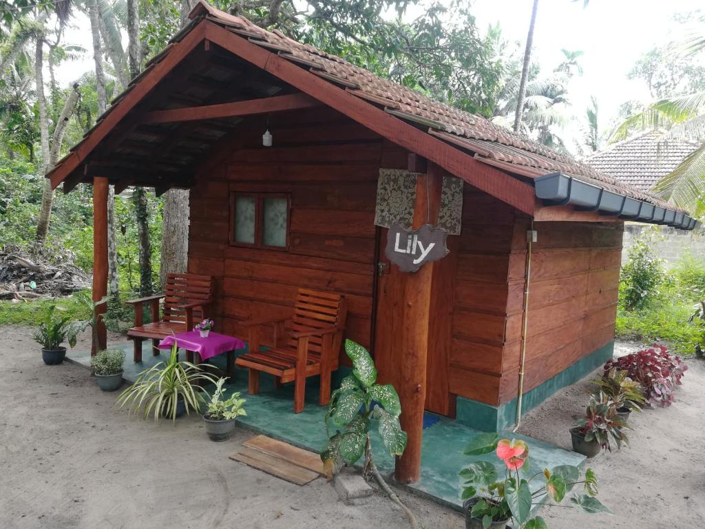 Jungle Paradise photo 3
