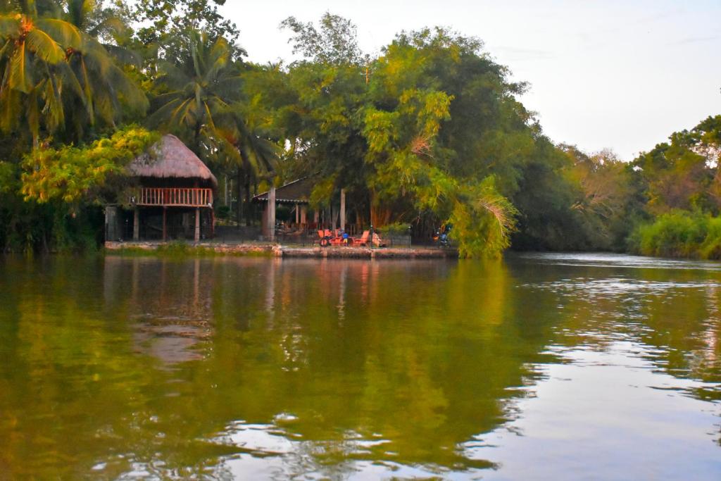 Pelican Lake photo 4