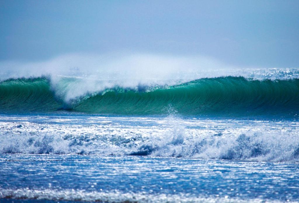 Tayought Surf House photo 3