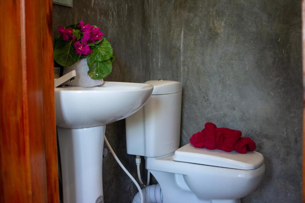 The Surf Access Guest house - Hostel - Tap to explore photos