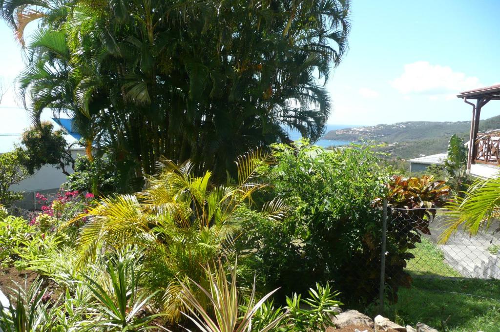 Douceurs Caraïbes, Gîte Cannelle photo 3