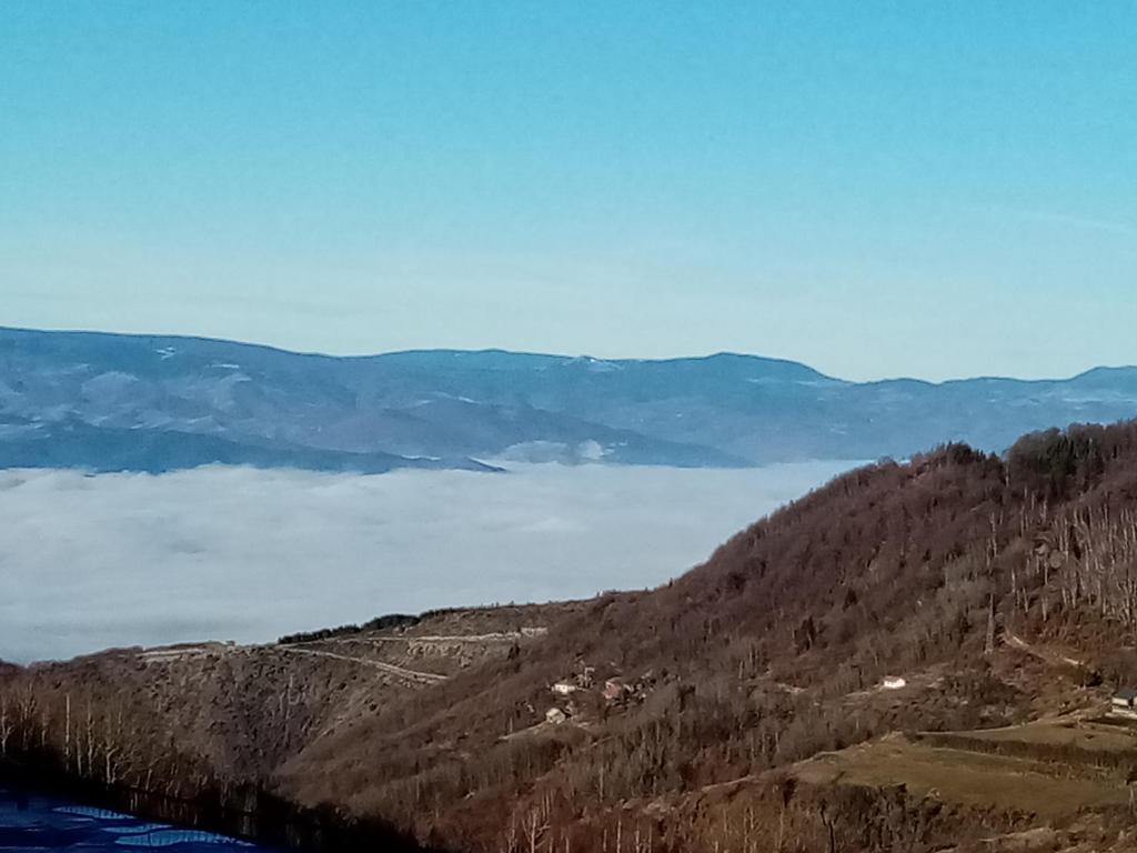 Pčelica L15 Milmari photo 1