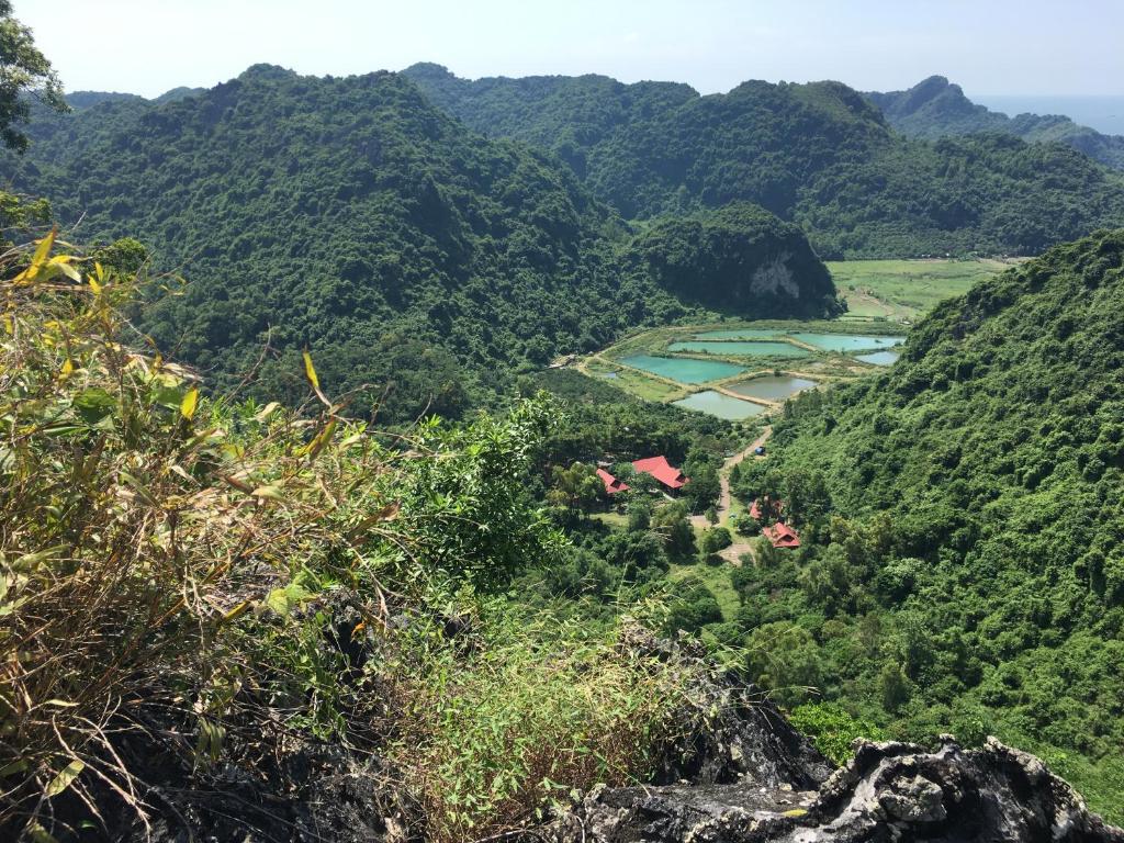 Cát Bà Eco Lodge