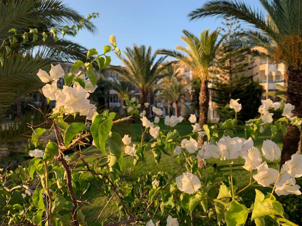 Сьюит (Полулюкс с видом на сад), Отель Hasdrubal Thalassa & Spa Yasmine Hammamet