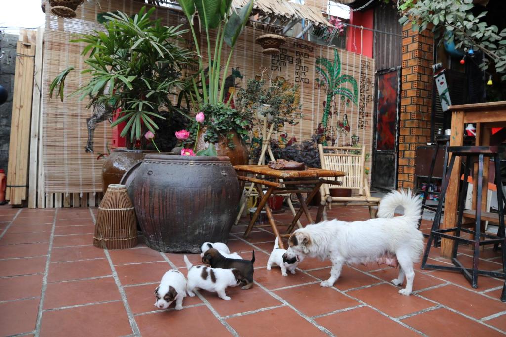 Redhouse Backpacker Hostel