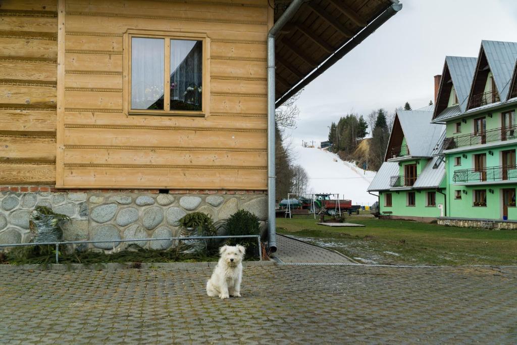 Góralski dom Murzańskich photo 3