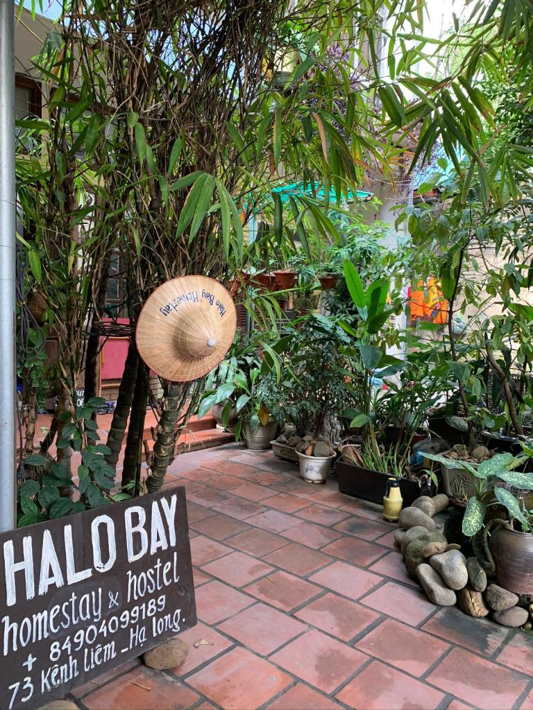 Halo Bay Homestay