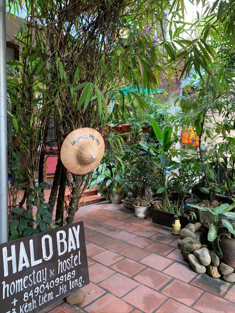 Halo Bay Homestay