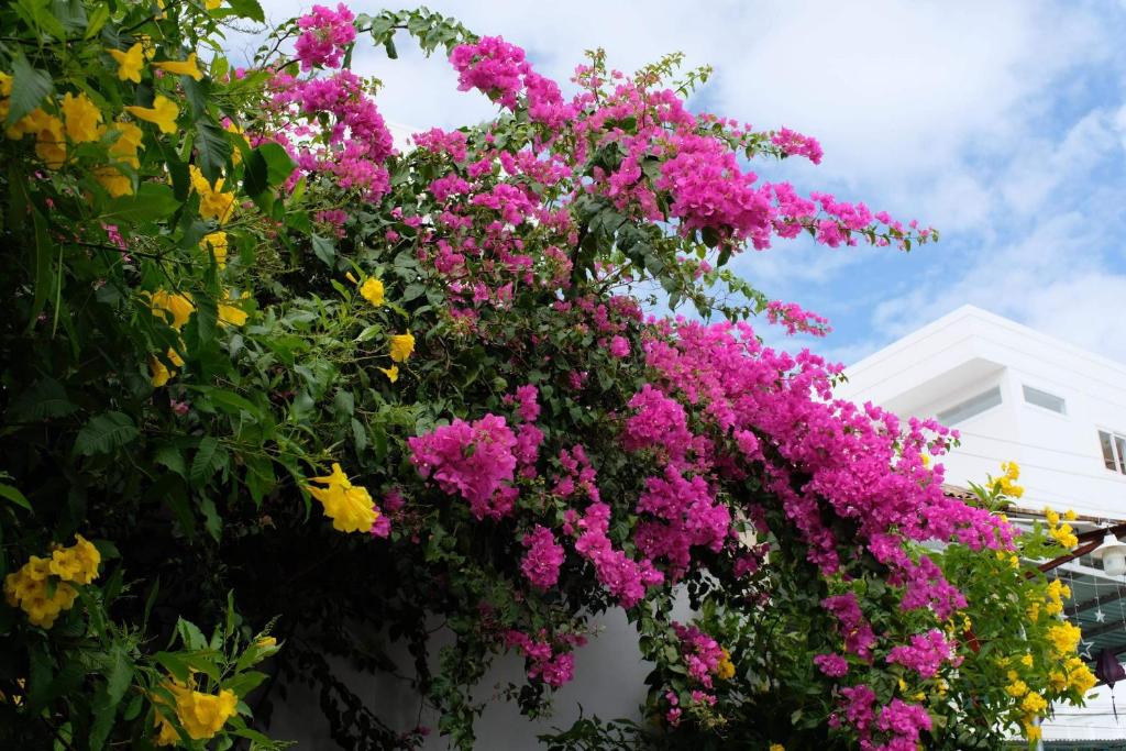 Khách sạn Sông Hương