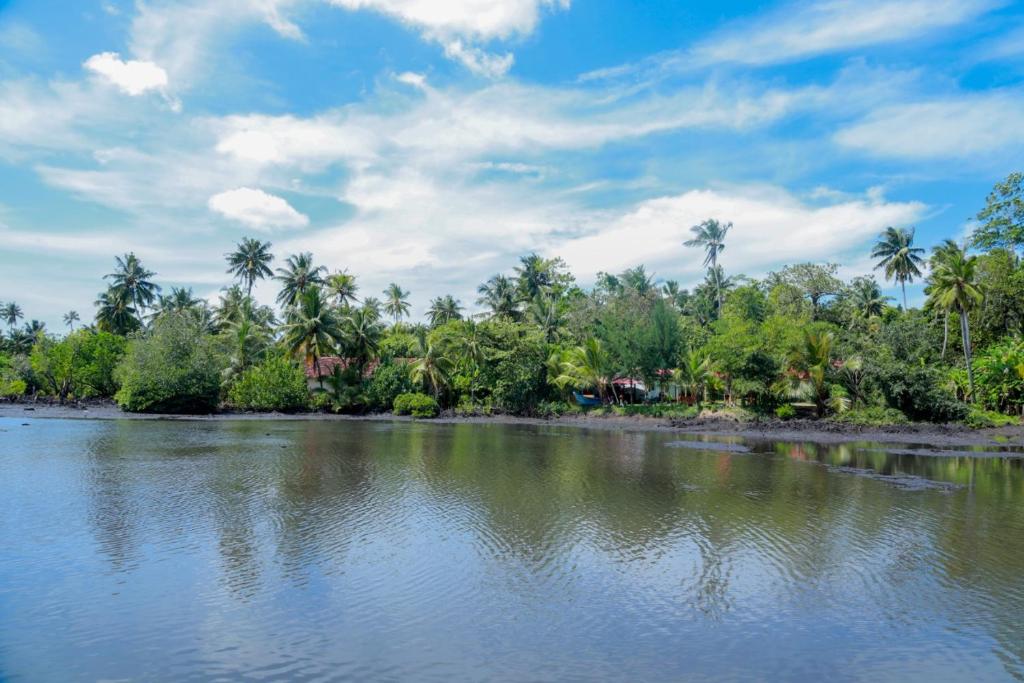 The Mangroves Villa Ahangama photo 2