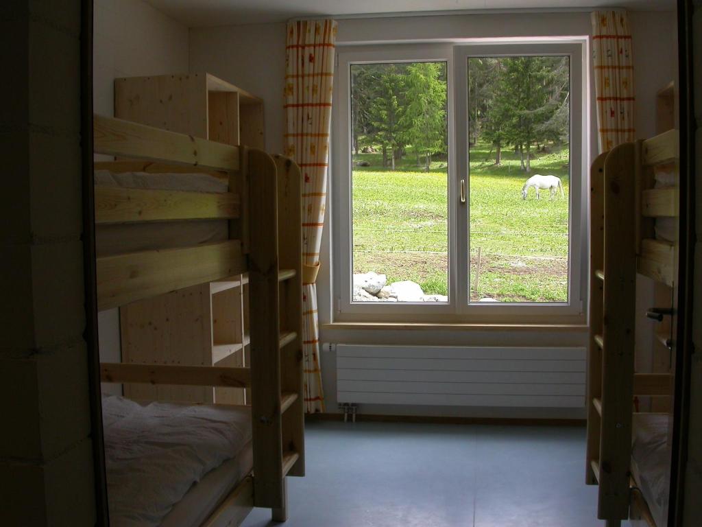 Reitstall und Saloon San Jon photo 2