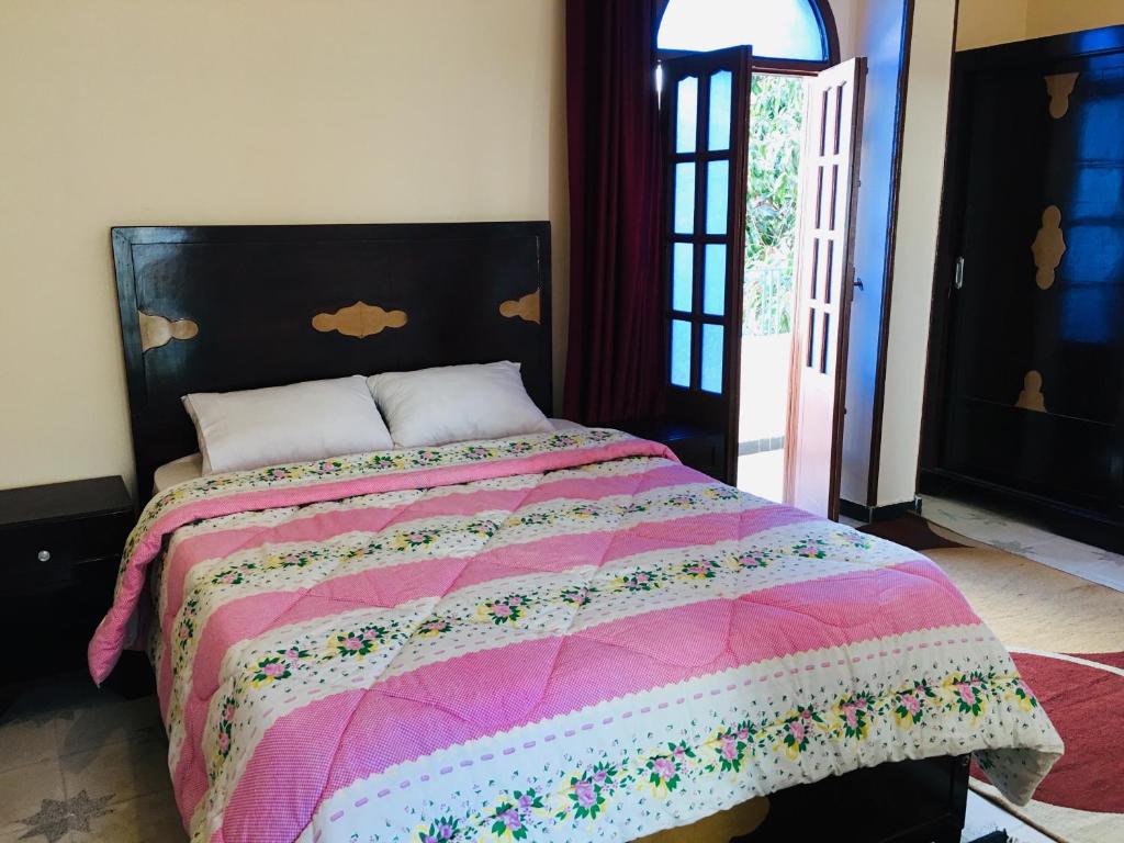 Двухместный (Бюджетный двухместный номер с 1 кроватью), Sunflower Guest House Luxor West Bank