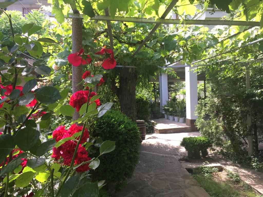 Guest House Barbov photo 4