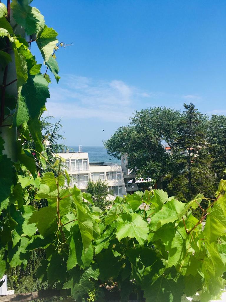 Guest House Barbov photo 2