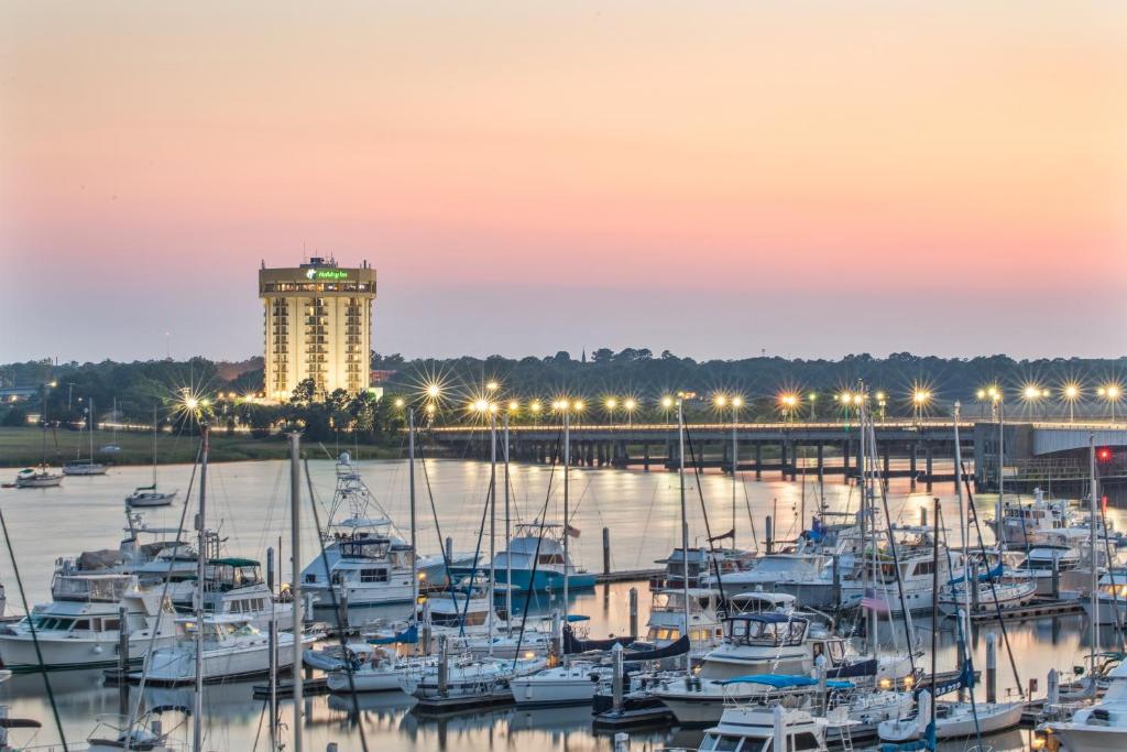 Holiday Inn Charleston Riverview, an IHG Hotel image