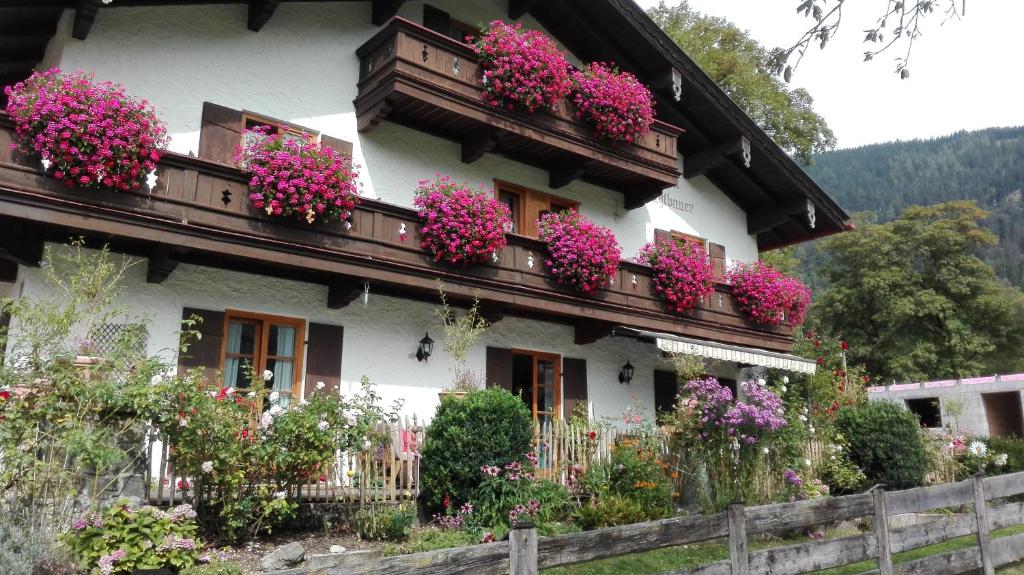 Pension Mühlbauer photo 3