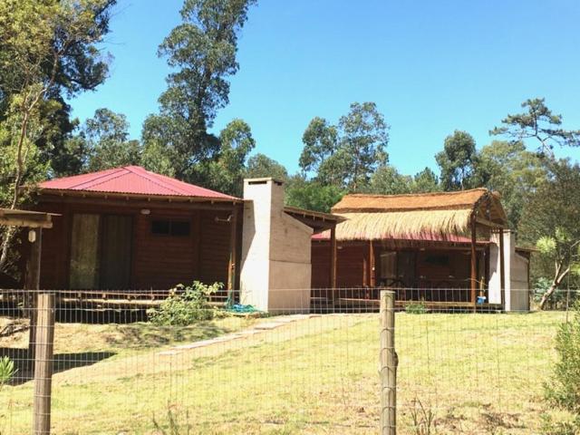 Los Quetzales photo 2