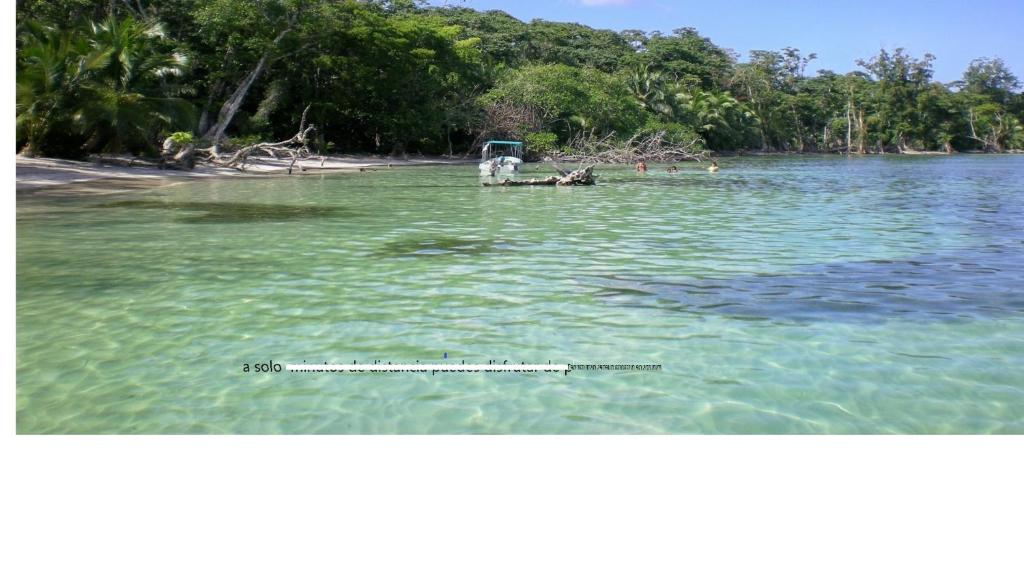 Yellow Houses Bocas photo 1