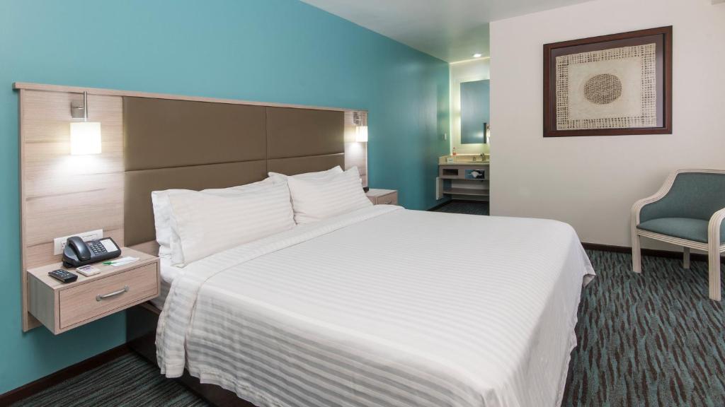 Одноместный (Номер, определяемый при заезде), Holiday Inn Hotel & Suites Mexico Zona Rosa