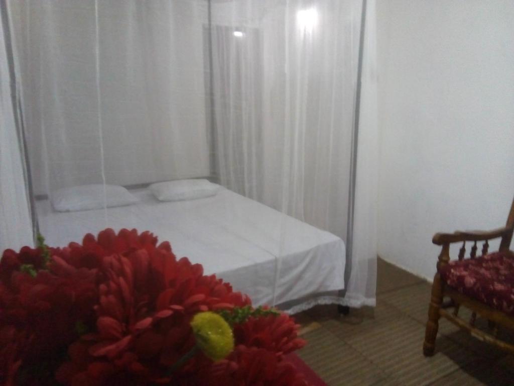 T & U Homestay photo 4