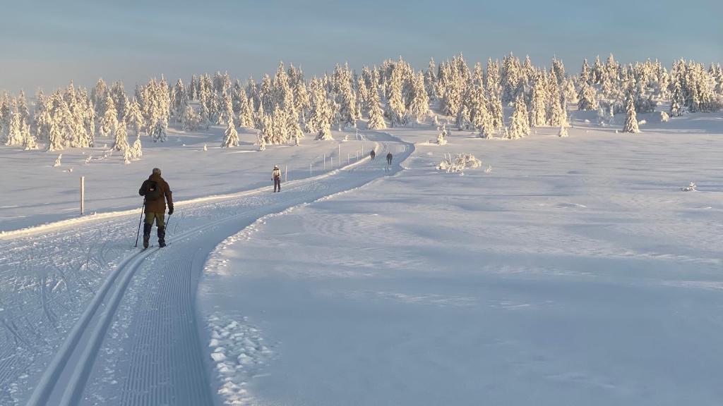 Bjerkely, Sjusjøen photo 4