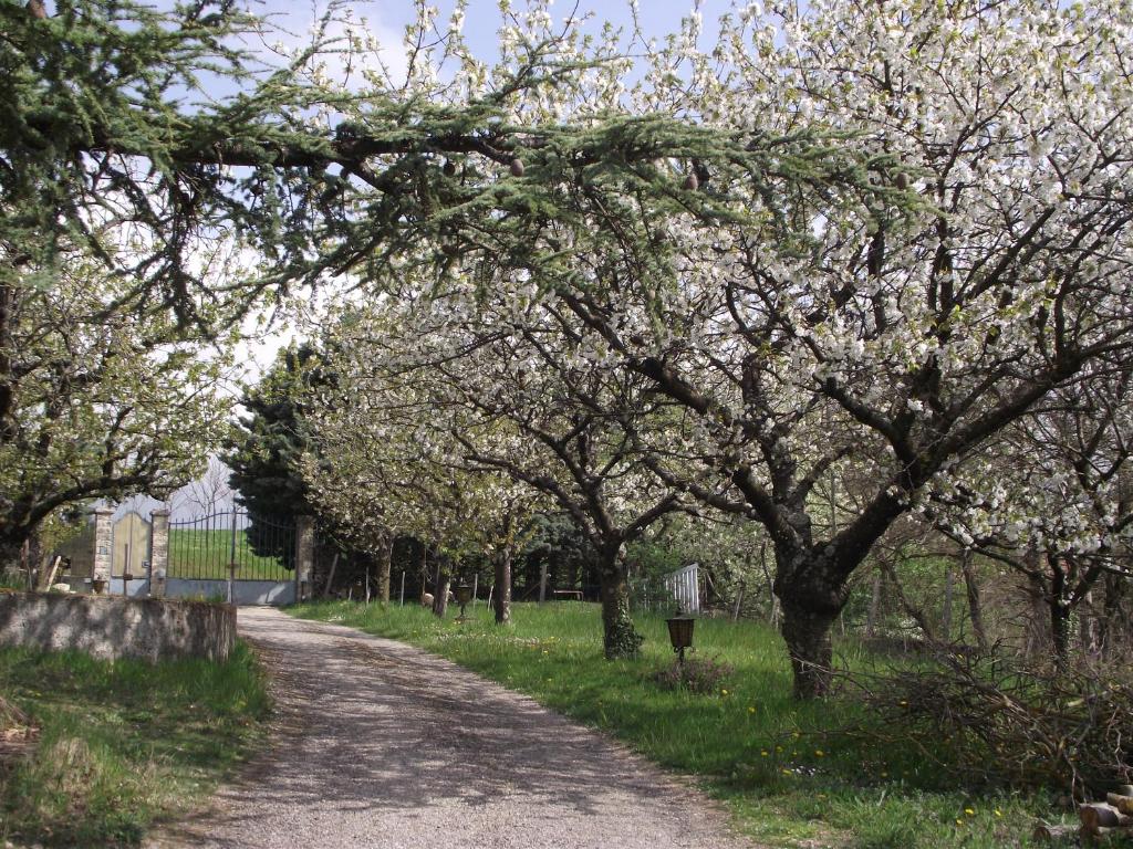 Domaine des cigales, chambre d'hôtes photo 4