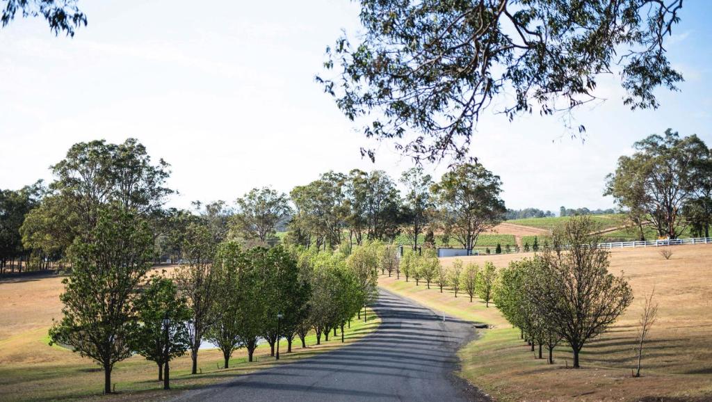 voco™ Kirkton Park Hunter Valley, an IHG Hotel photo 4