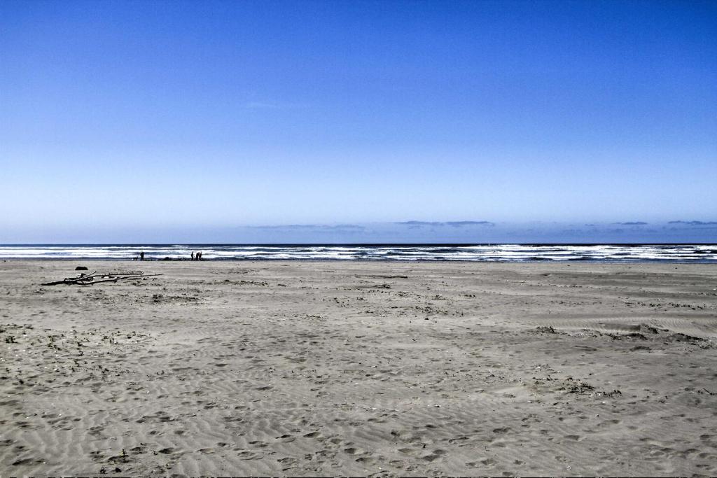 The Little Orcas- Short Walk to the Beach! photo 2
