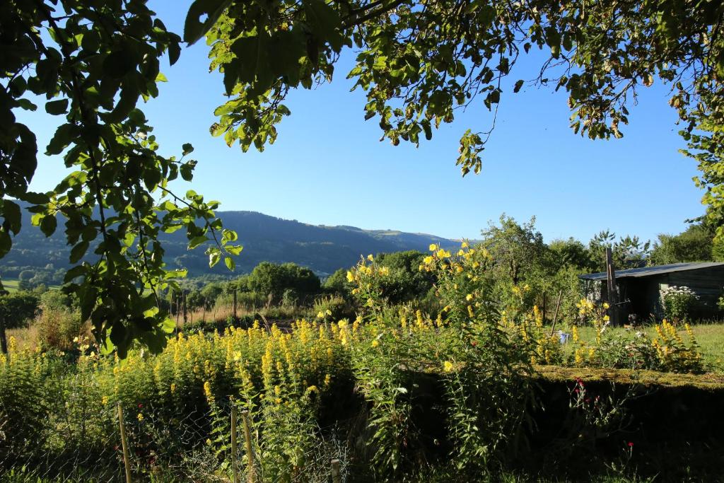 La cavalièra photo 2