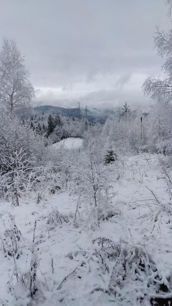 Zacharovany Karpaty photo 3