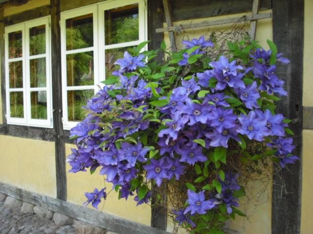 Landhaus Kiesow photo 4