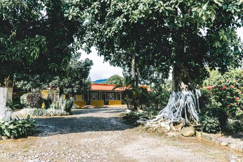 Cabinas EL PRADO photo 1