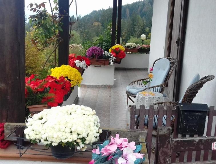 Villa Chanel photo 3