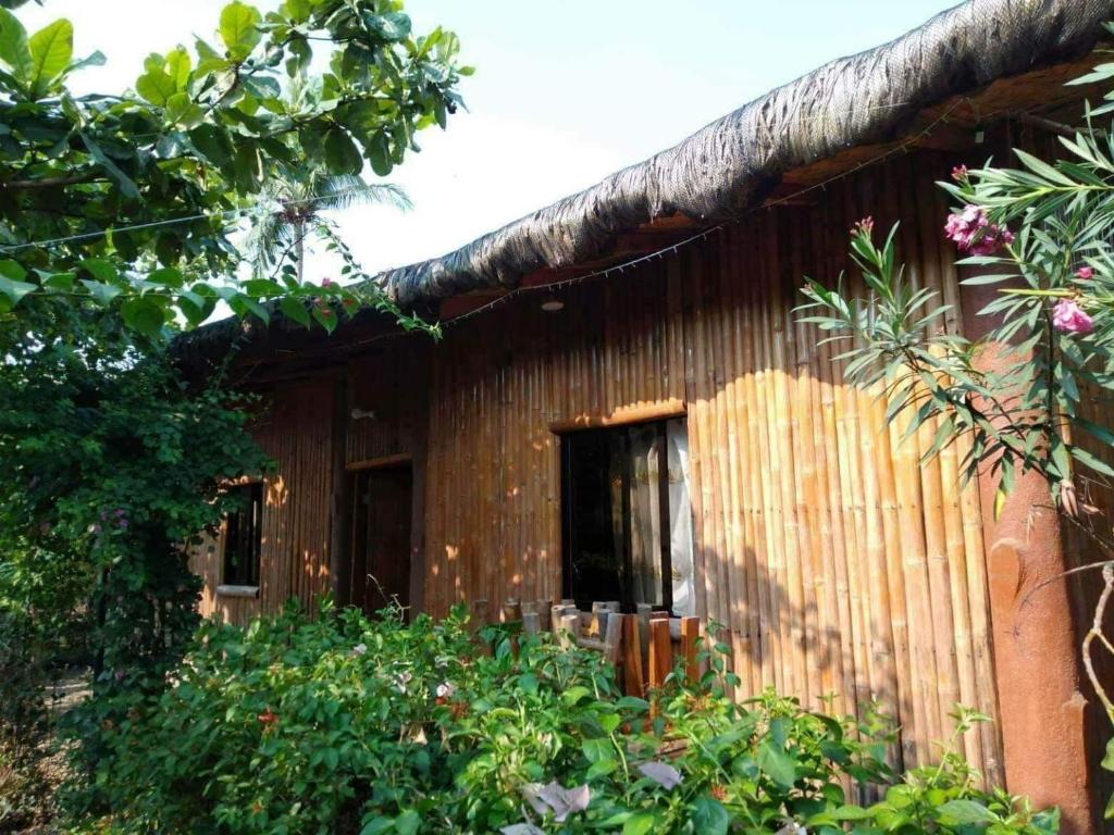 Calayo Beach Resort photo 4