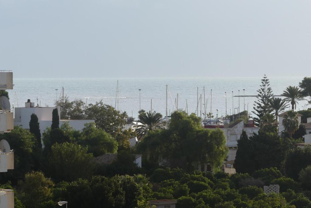 Atico Puerto photo 3