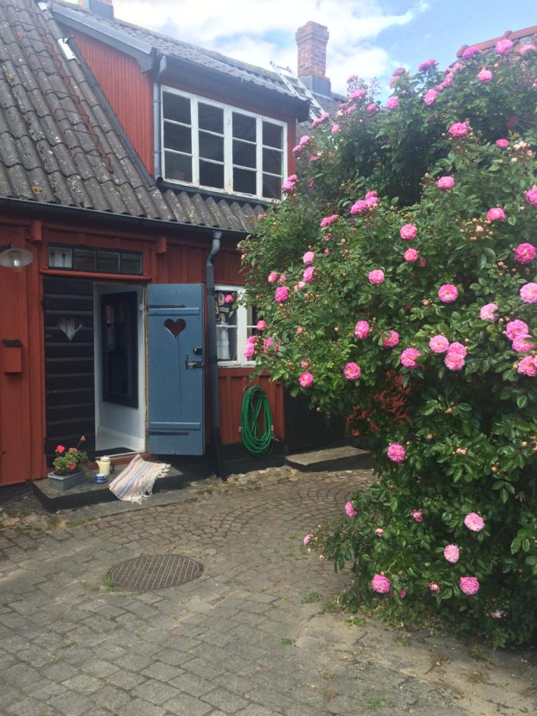 Gårdshus Torget Åhus photo 1