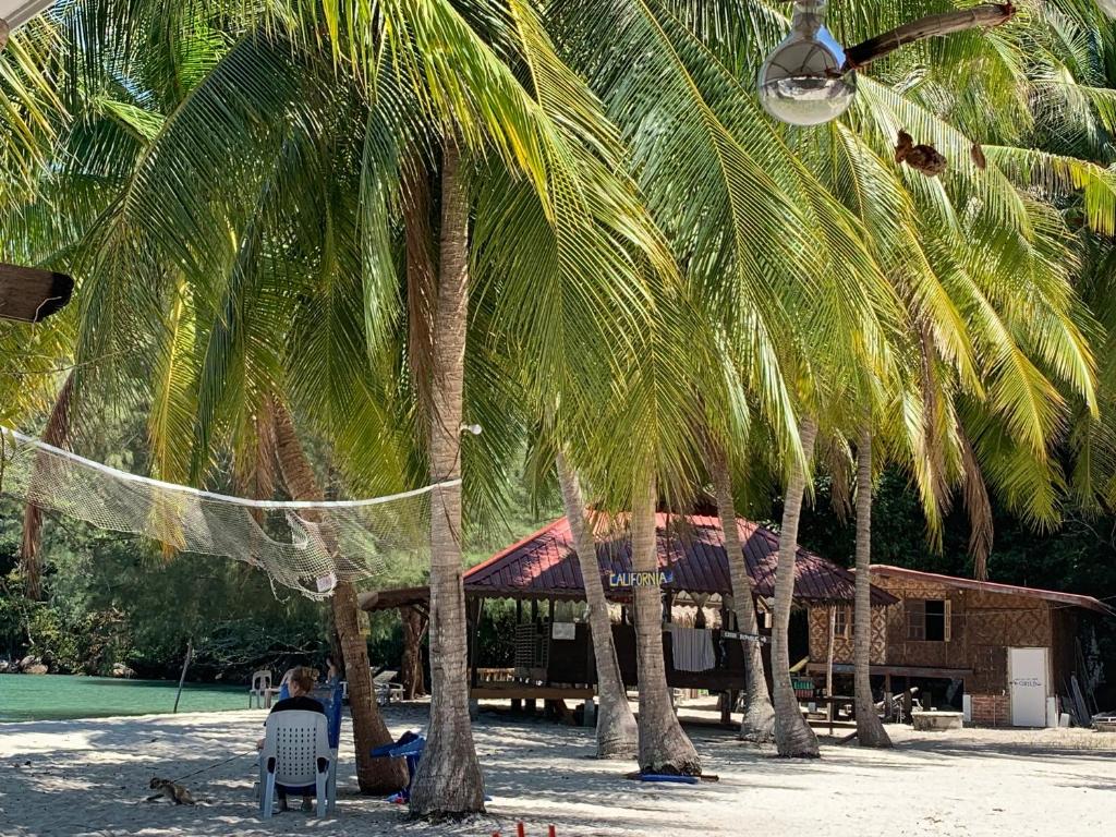 Номер (Односпальная кровать в общем номере для мужчин и женщин), Wild Pasir Panjang