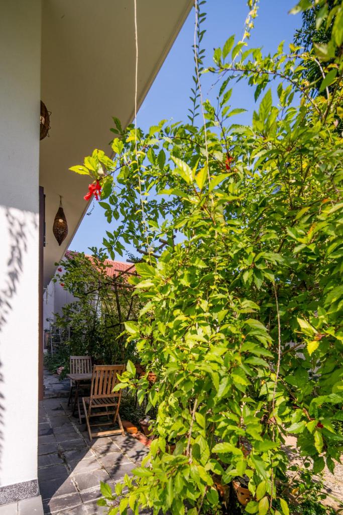 AnBang Morning Glory Beach Homestay