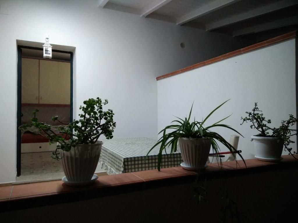 Numero 19 photo 4