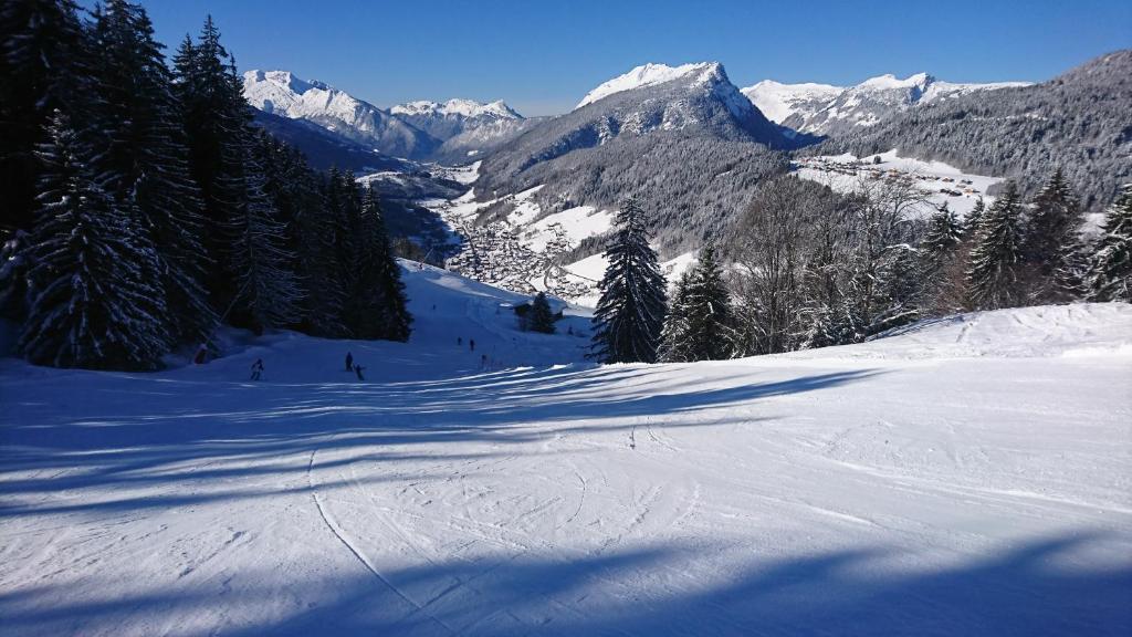 Studio le Grand-Bornand Village photo 2