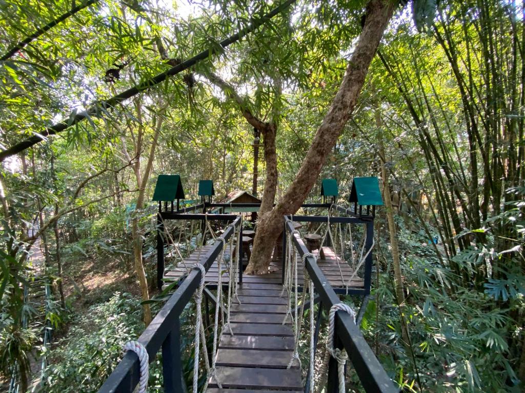 Номер (Дом на дереве «Бамбук»), Khaosok Treehouse Resort