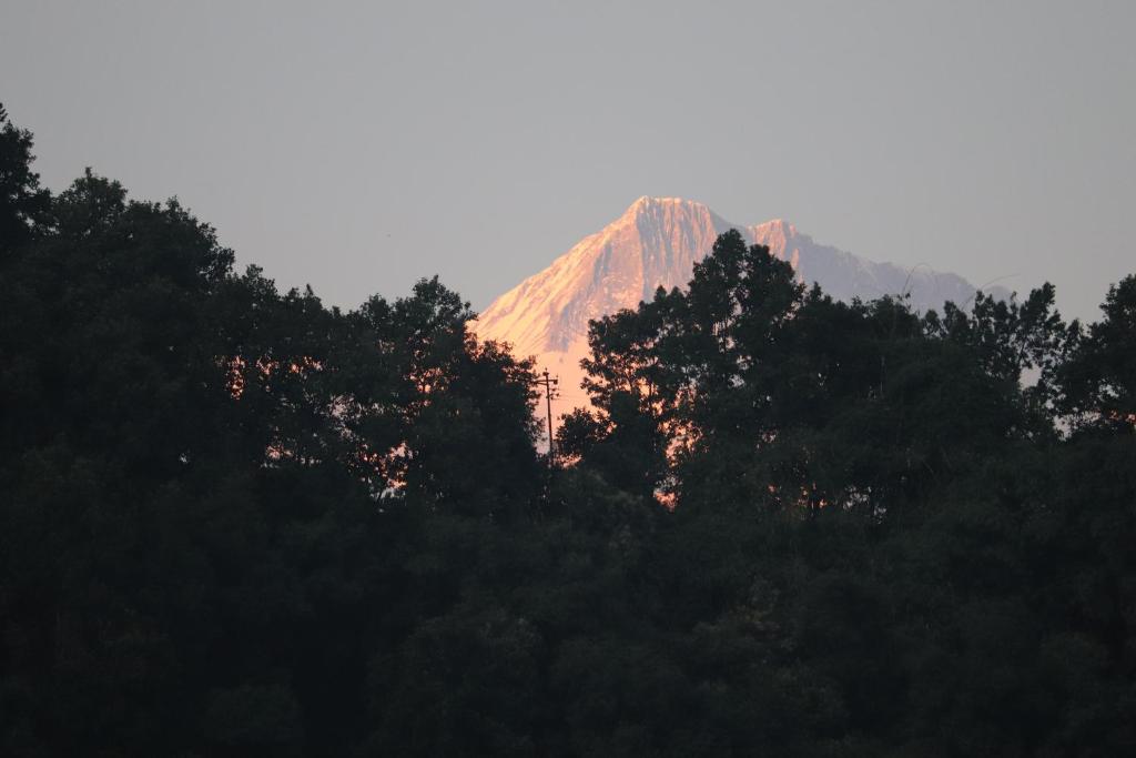 Hotel Young's Stupa photo 3