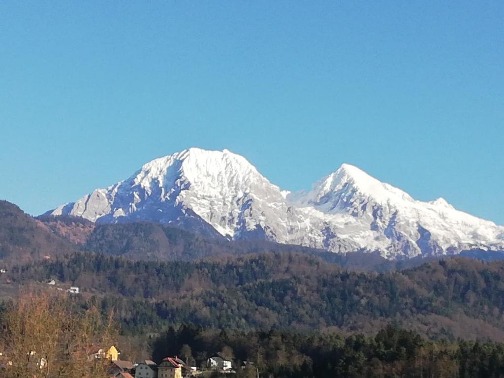 APARTMA RANČ LUŽE photo 4