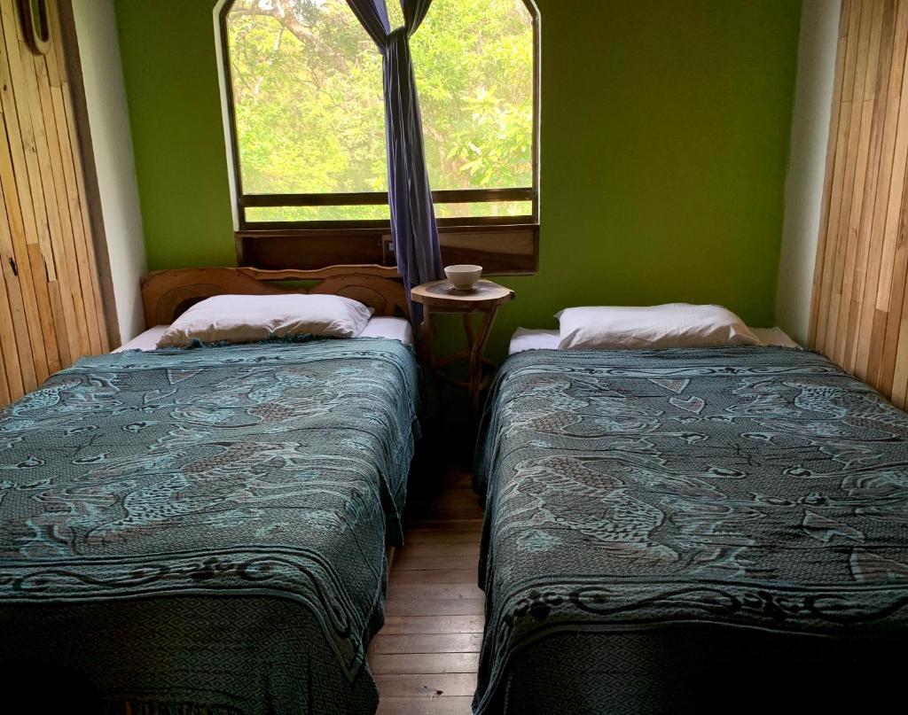 Casa Alquimia photo 4