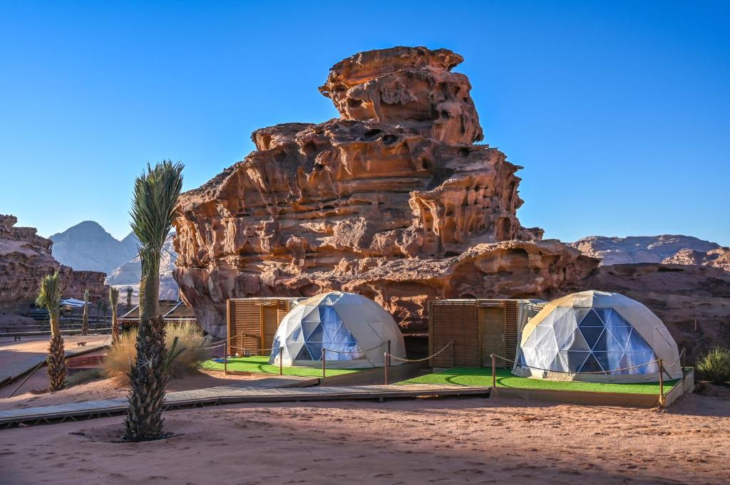 Palmera Camp Wadi Rum photo 3