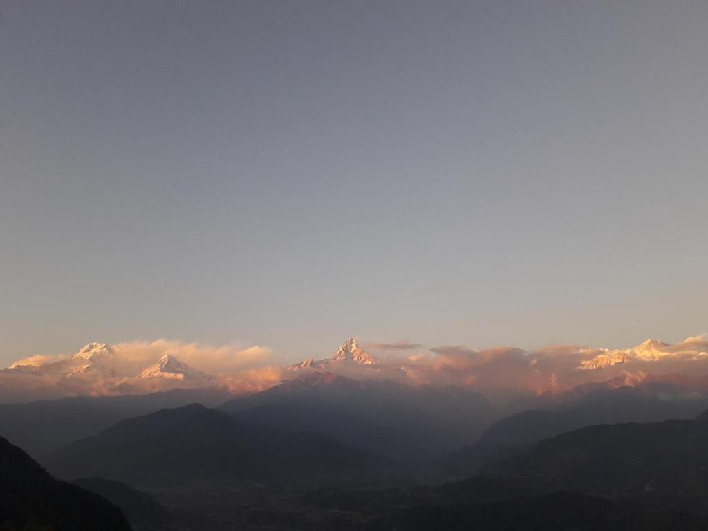 Himalayan crown lodge photo 3