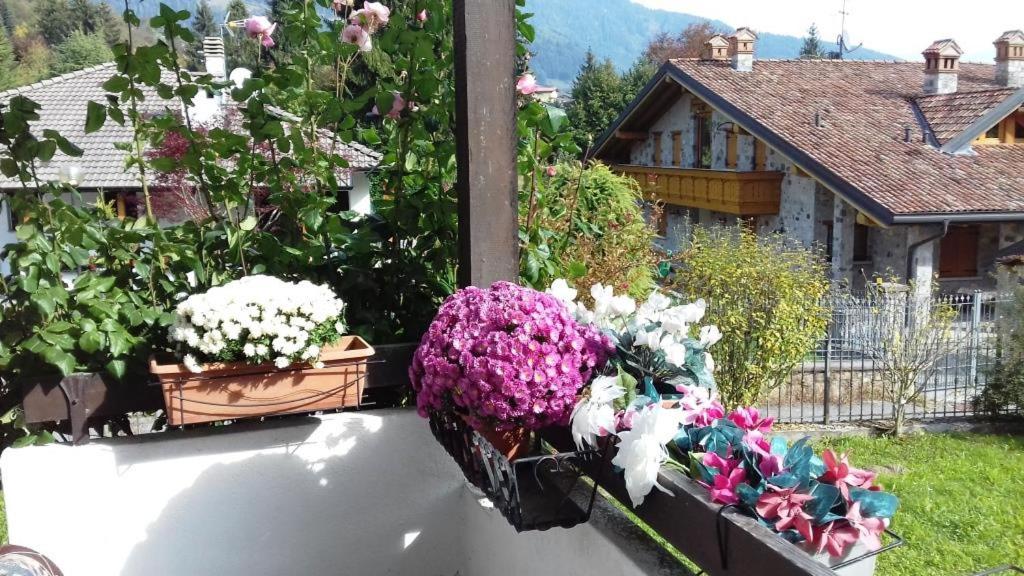 Villa Chanel photo 4