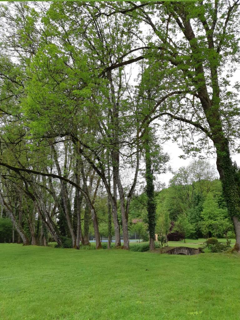 Gîte Moulin de la Serrée photo 4