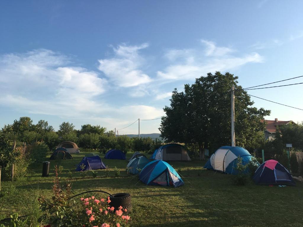 Fruška Gora Guesthouse photo 2